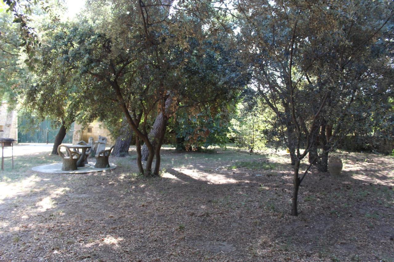 Le Mas De Lucien Entre Arles, Nimes, Avignon. Beaucaire  Eksteriør billede