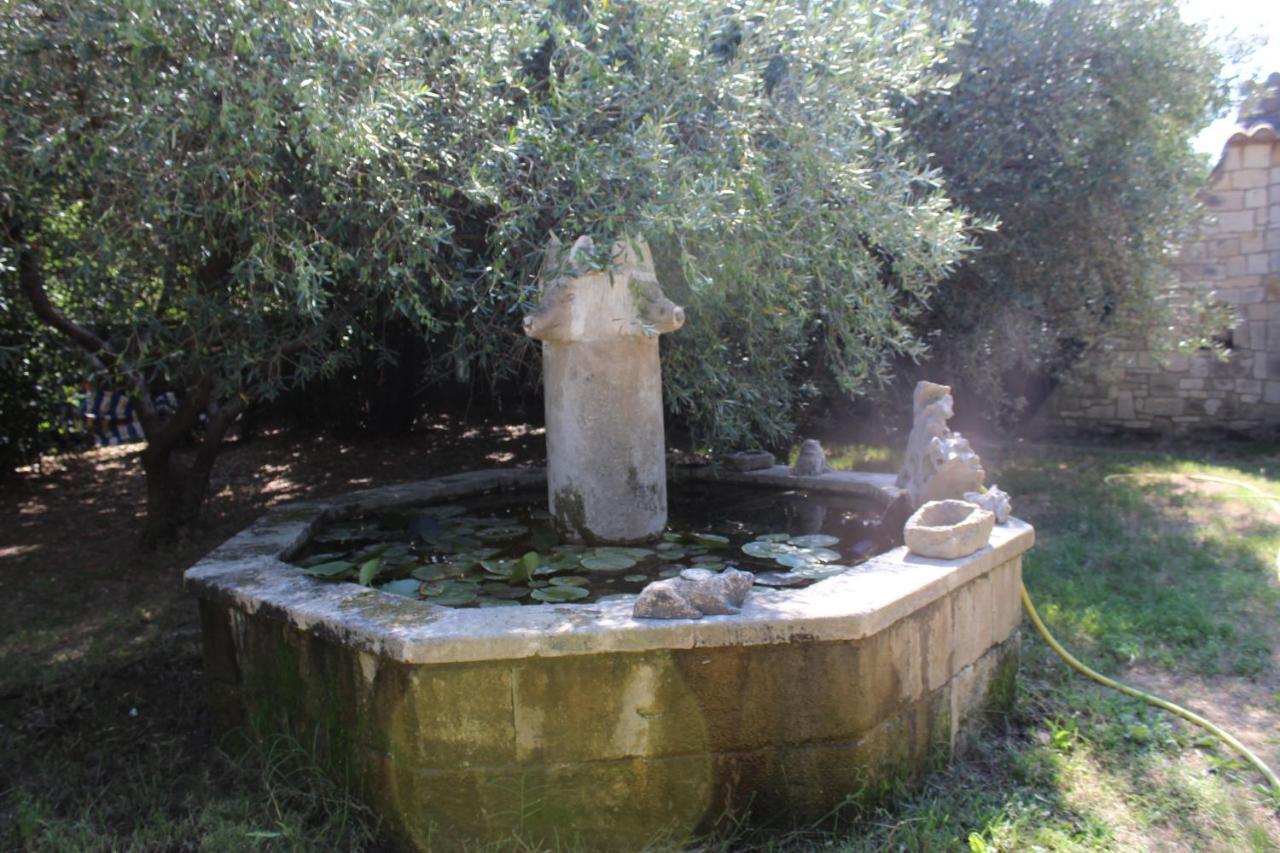 Le Mas De Lucien Entre Arles, Nimes, Avignon. Beaucaire  Eksteriør billede