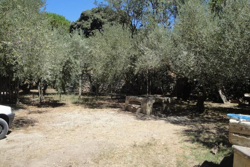 Le Mas De Lucien Entre Arles, Nimes, Avignon. Beaucaire  Eksteriør billede