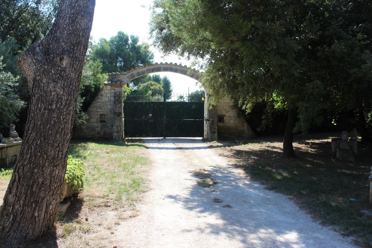 Le Mas De Lucien Entre Arles, Nimes, Avignon. Beaucaire  Eksteriør billede