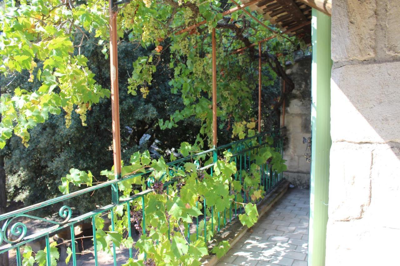 Le Mas De Lucien Entre Arles, Nimes, Avignon. Beaucaire  Eksteriør billede